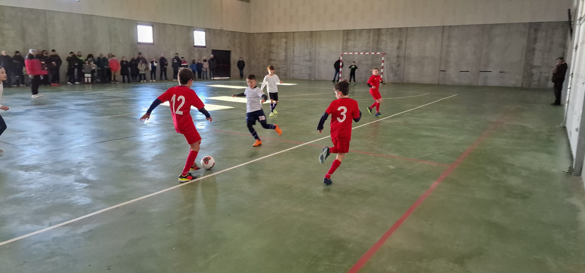 VIl Liga Comarcal de Fútbol Sala Benjamín y alevín en la Comarca del Somontano