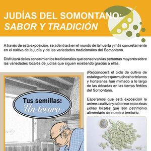 Judías del Somontano: sabor a tradición