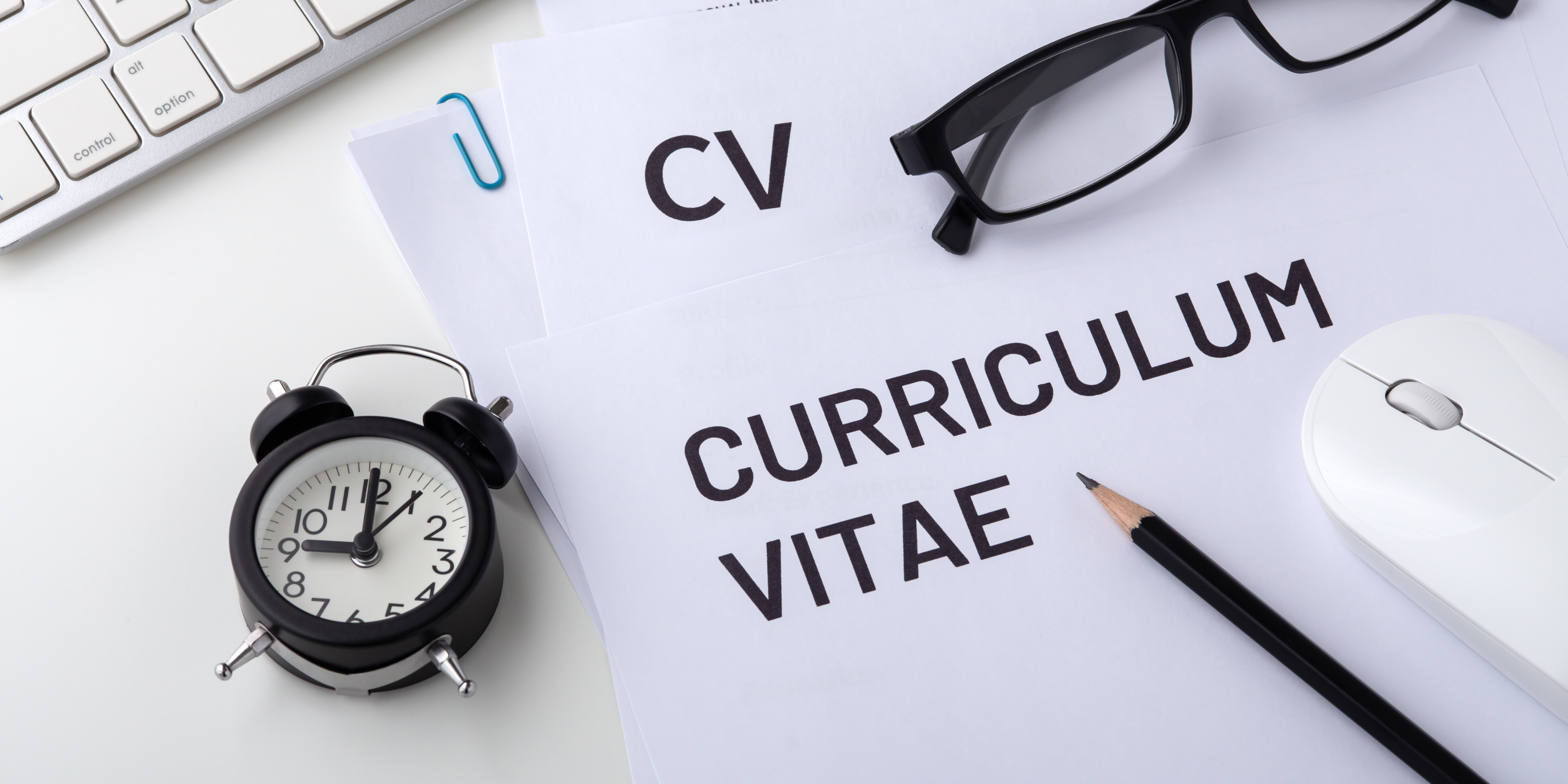 curriculum vitae